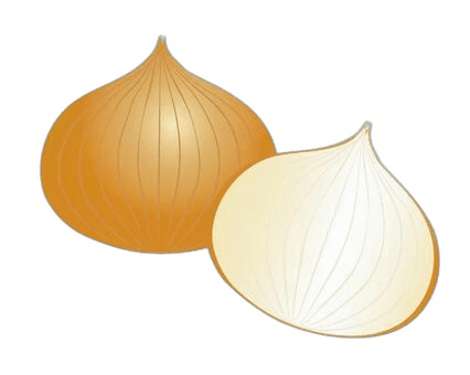 Stylized Onion Figures in Animation